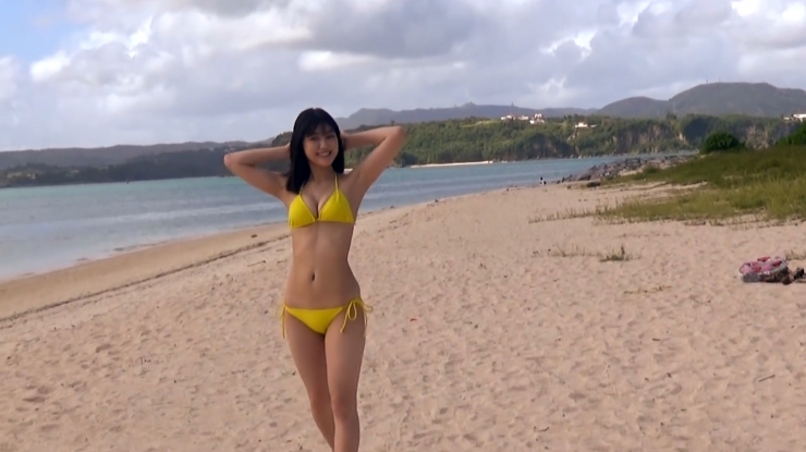Karen Izumi swimsuit bikini t5003