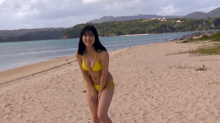 Karen Izumi swimsuit bikini t5005