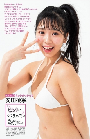 Yasuda Momone Swimsuit Bikini ff013