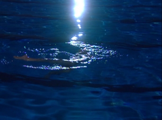 Saki Aibu Swimming Race Swimsuit Water Boys vlv015