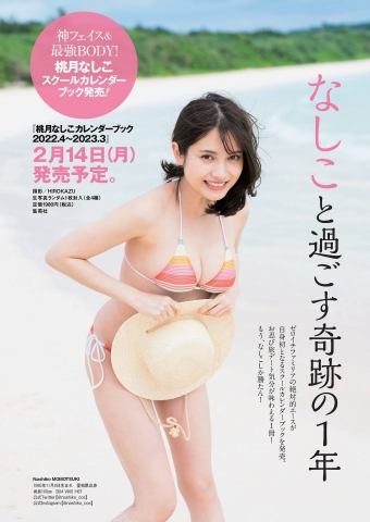 Nashiko Momozuki swimsuit bikini 33001