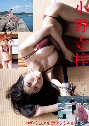 Azusa Onodera badpak bikini fd007
