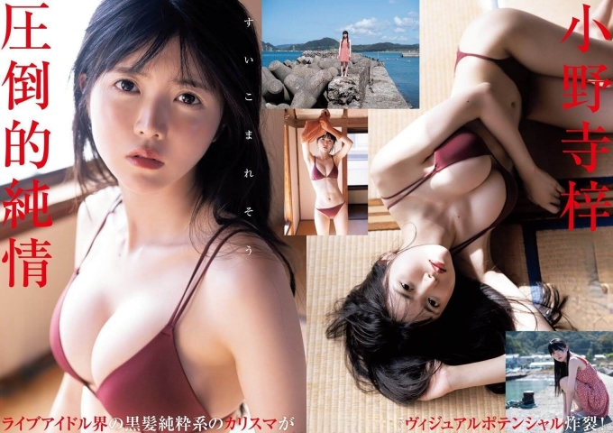 Azusa Onodera badpak bikini fd008