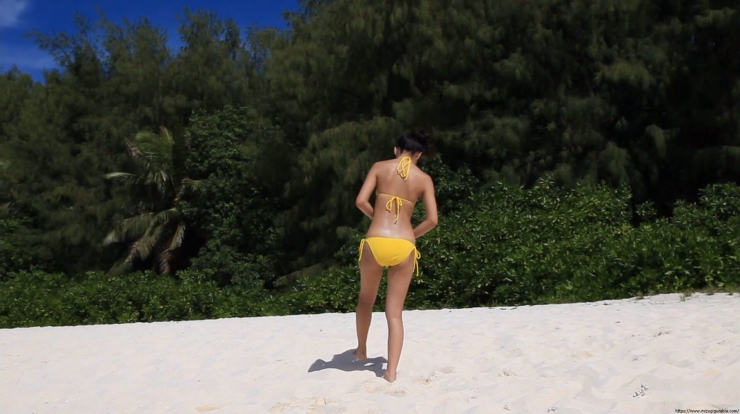 Kaede Hashimoto Yellow Bikini BeachAina misaki 26 years old nude071