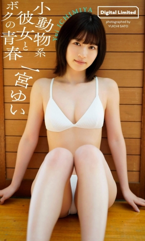 Yui ICHIMIYA swimsuit bikini w007