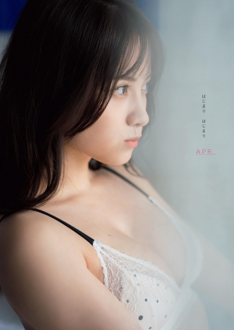 Nashiko Momotsuki Zero Ichi no Ace ga Calendar Book001