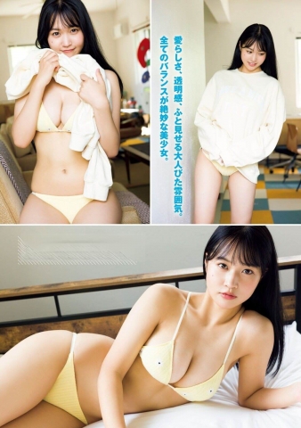 Miyuka Minami Swimsuit Bikini wr009