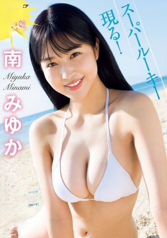 Miyuka Minami Swimsuit Bikini wr010