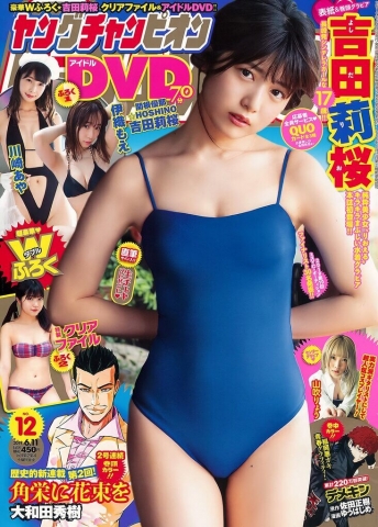 Rio Yoshida Swimsuit Bikini es013