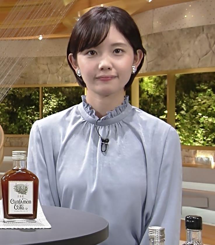 田中瞳アナ　ワールドビジネスサテライトキャプ・エロ画像６