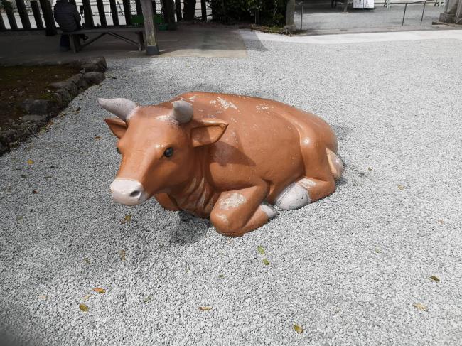 【朗報】ワンピースの銅像がどかせた牛さん、生存が確認される